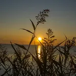 Ferien Mit Meerblick شقة