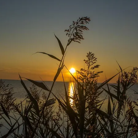 Ferien Mit Meerblick Apartament